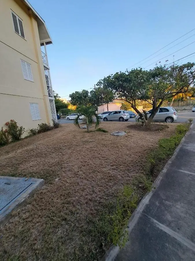 Kozy Kingston Condo At Merrivale Apartments location